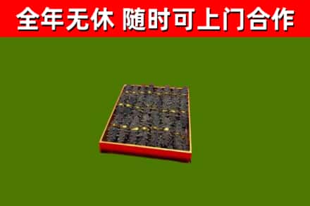 崇阳县回收海参